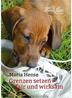 预订不退不换德语 Grenzen setzen:fair und wirksam