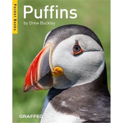 预订Puffins