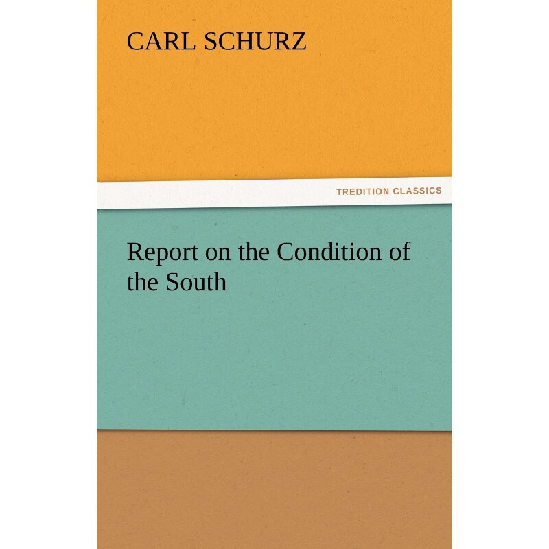 按需印刷不退不换Report on the Condition of the South[9783842466234]