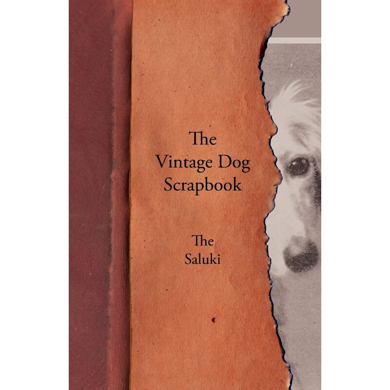 按需印刷不退不换The Vintage Dog Scrapbook - The Saluki[9781447429432]