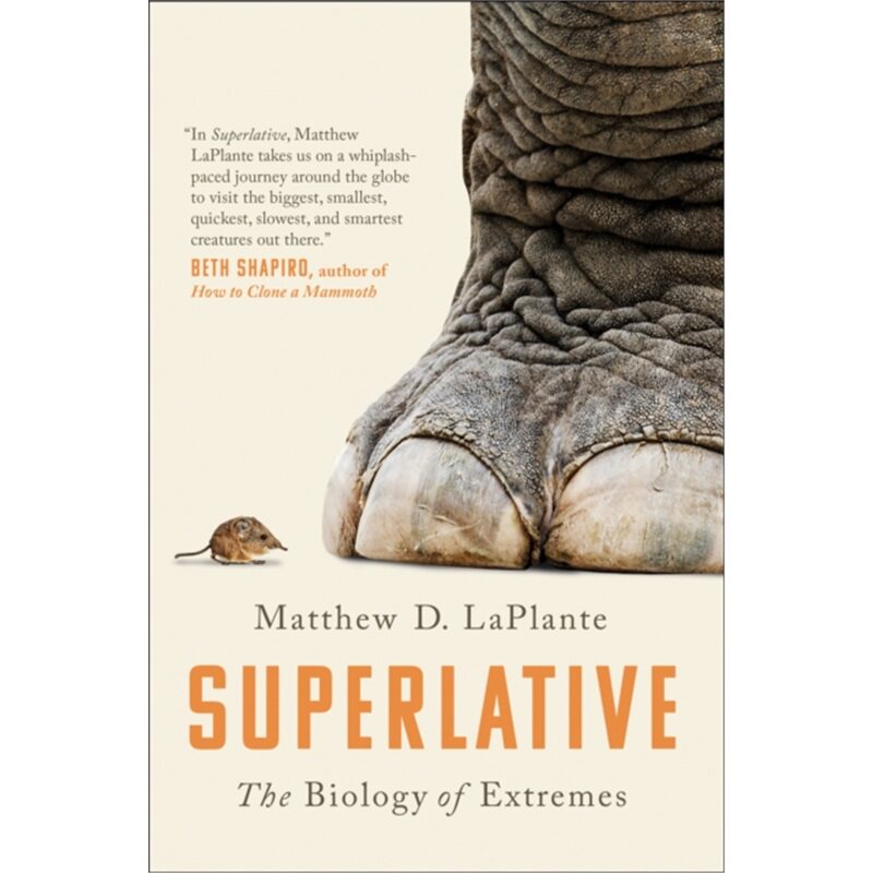 预订不退不换Superlative[9781946885944]