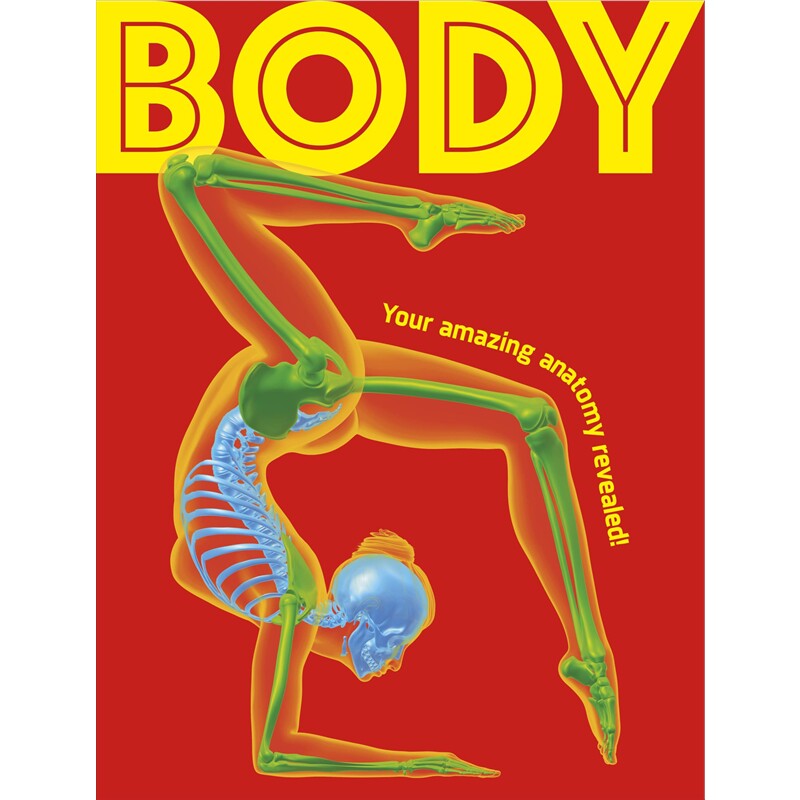 现货 身体:揭秘你惊人的解剖学 Body : Your Amazing Anatomy Revealed! 英文原版 上海外文 9780241772171
