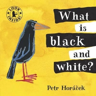 预订不退不换 What Is Black and White? 什么是黑与白？