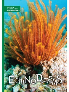 预订不退不换Echinoderms