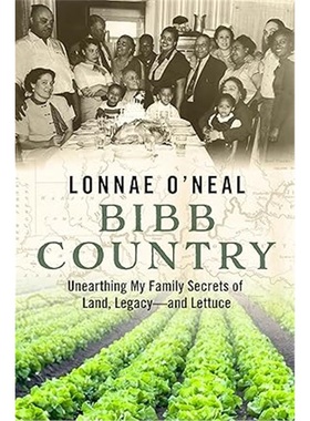 预售[2025新书]Bibb Country[9781368089388]