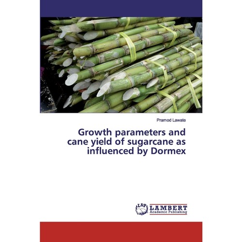 预订，预计下单后2-3周左右发货！