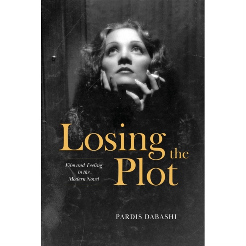 预订Losing the Plot[9780226829258]