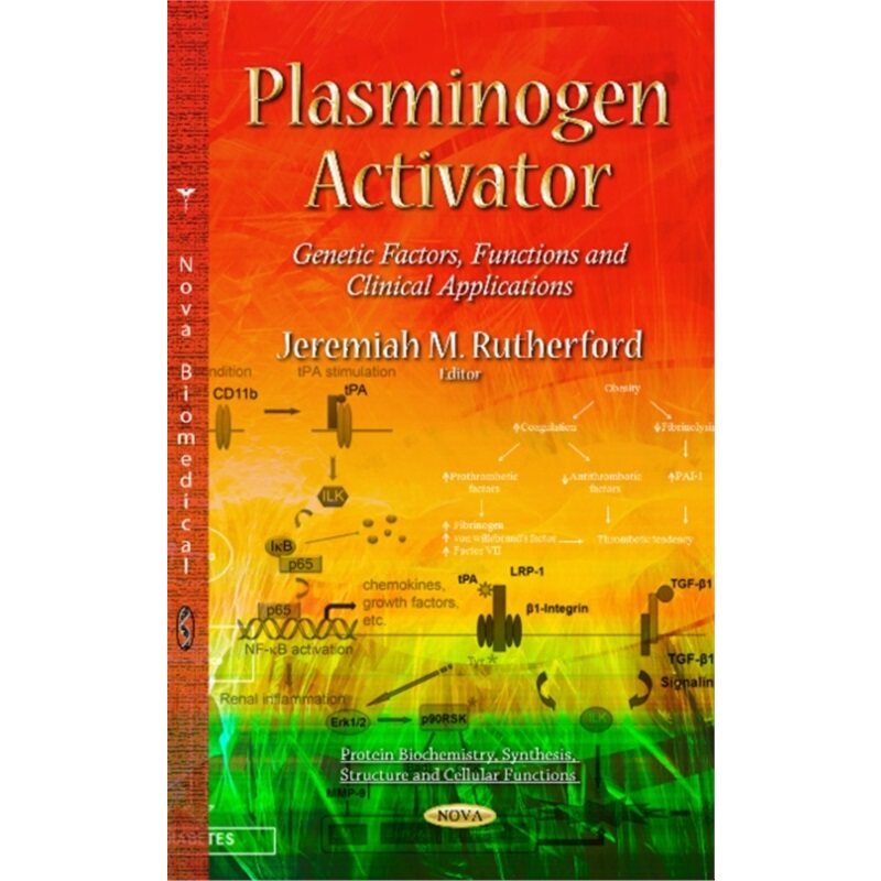 预订，预计下单后4-6周左右发货