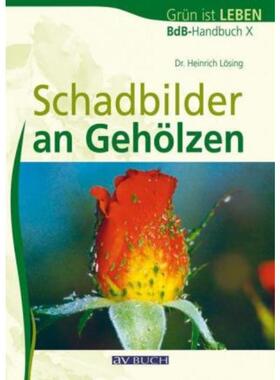 预订不退不换德语 Schadbilder an Gehölzen: