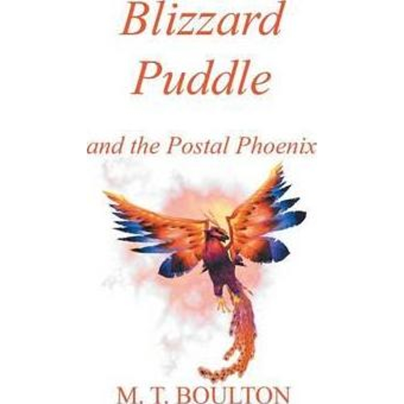 预订，预计下单后2-3周左右发货！