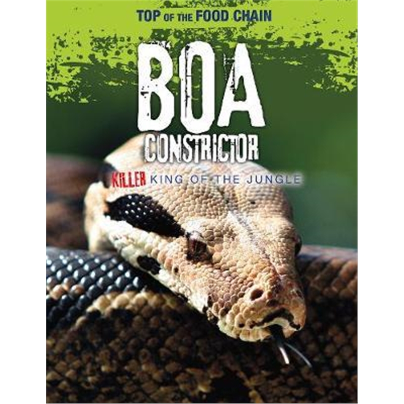 预订Boa Constrictor:Killer King of the Jungle-封面