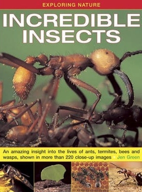 预订Exploring Nature: Incredible Insects:An Amazing Insight into the Lives of Ants, Termites, Bees and Wasps, Shown in M