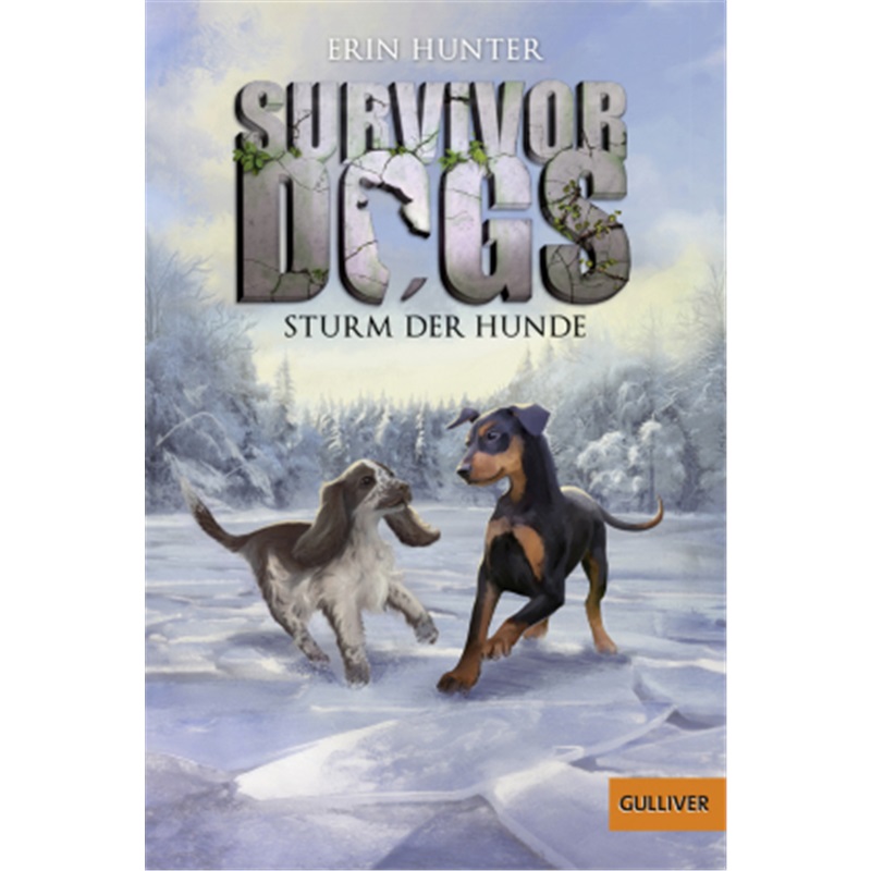 预订，预计下单后8-12周左右发货