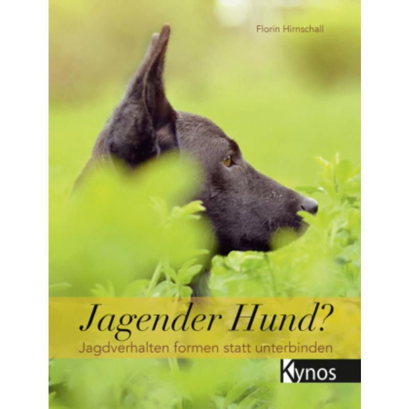 预订，预计下单后3-6周左右发货！