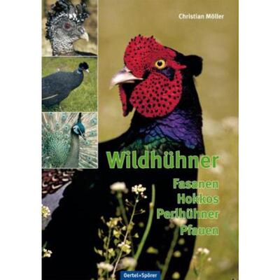 预订不退不换德语 Wildhühner:Fasanen, Hokkos, Perlhühner, Pfauen