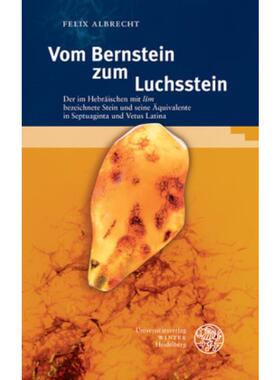预订【德语】 Vom Bernstein zum Luchsstein:Der im Hebräis