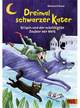 预订【德语】Dreimal schwarzer Kater[9783407758224]