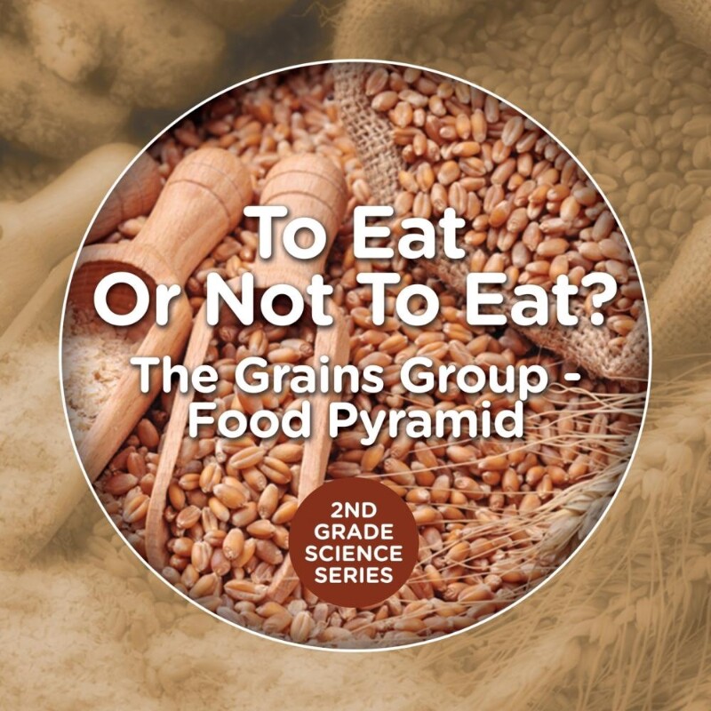 按需印刷不退不换To Eat Or Not To Eat? The Grains Group - Food Pyramid[9781682800195]