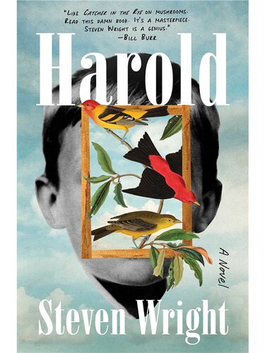 预售【2024新书】Harold