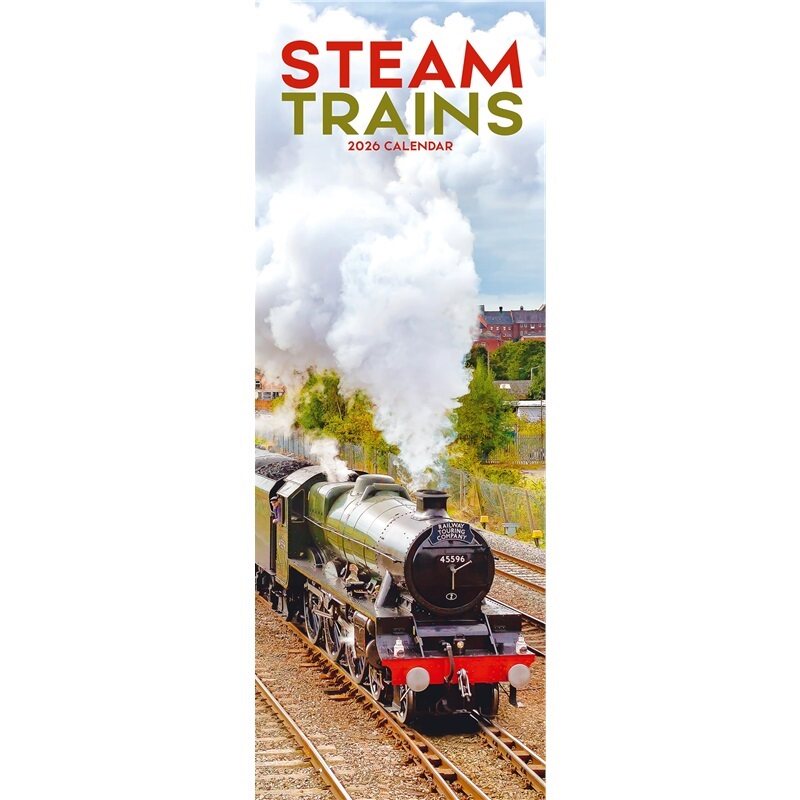 预订，预计下单后4-6周左右发货