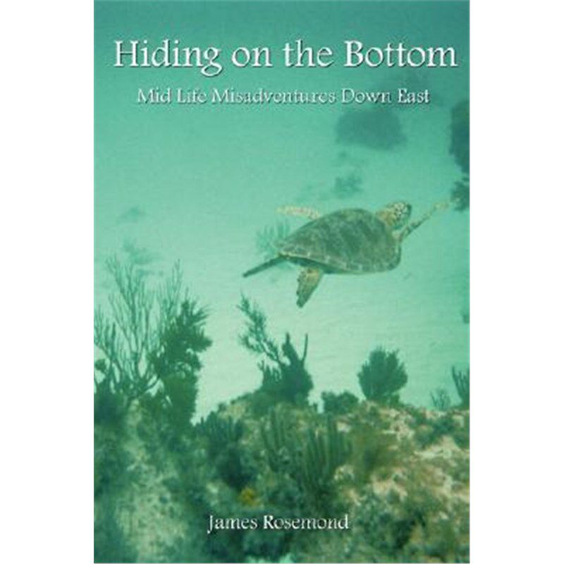 按需印刷不退不换Hiding on the Bottom[9781430300717]
