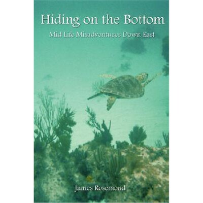 按需印刷不退不换Hiding on the Bottom[9781430300717]