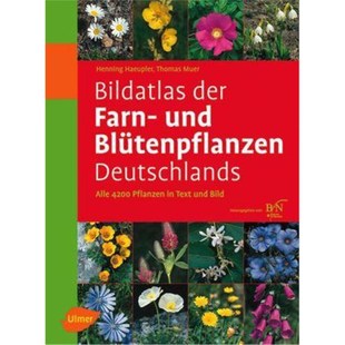 der Bild Text Alle 德语 Bildatlas 4200 und Farn 预订 Blütenpflanzen Pflanzen Deutschlands