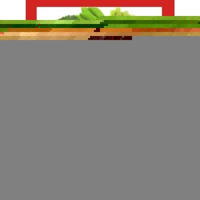 按需印刷Vegetarian Menus[9781434362575]