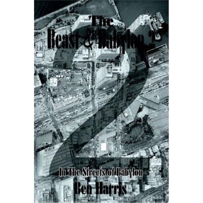 按需印刷不退不换The Beast and Babylon 2[9781420841381]