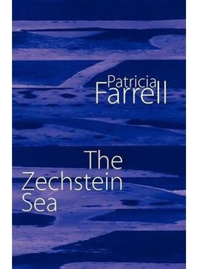 按需印刷The Zechstein Sea[9781848612631]