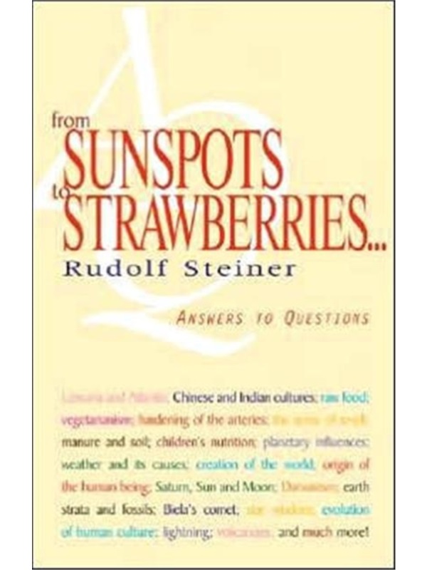 预订From Sunspots to Strawberries