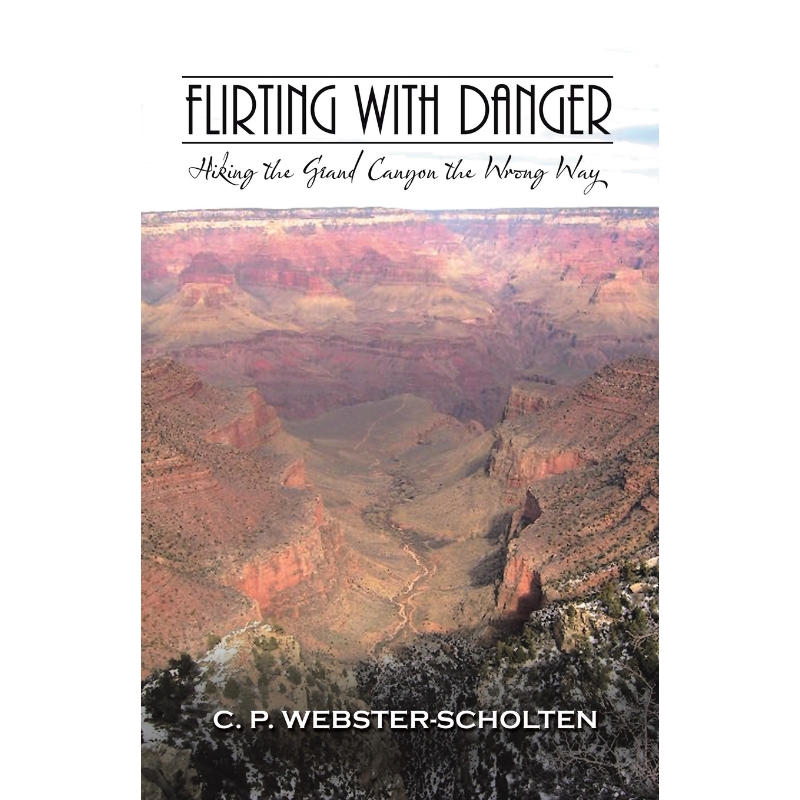 预订，预计下单后2-3周左右发货！