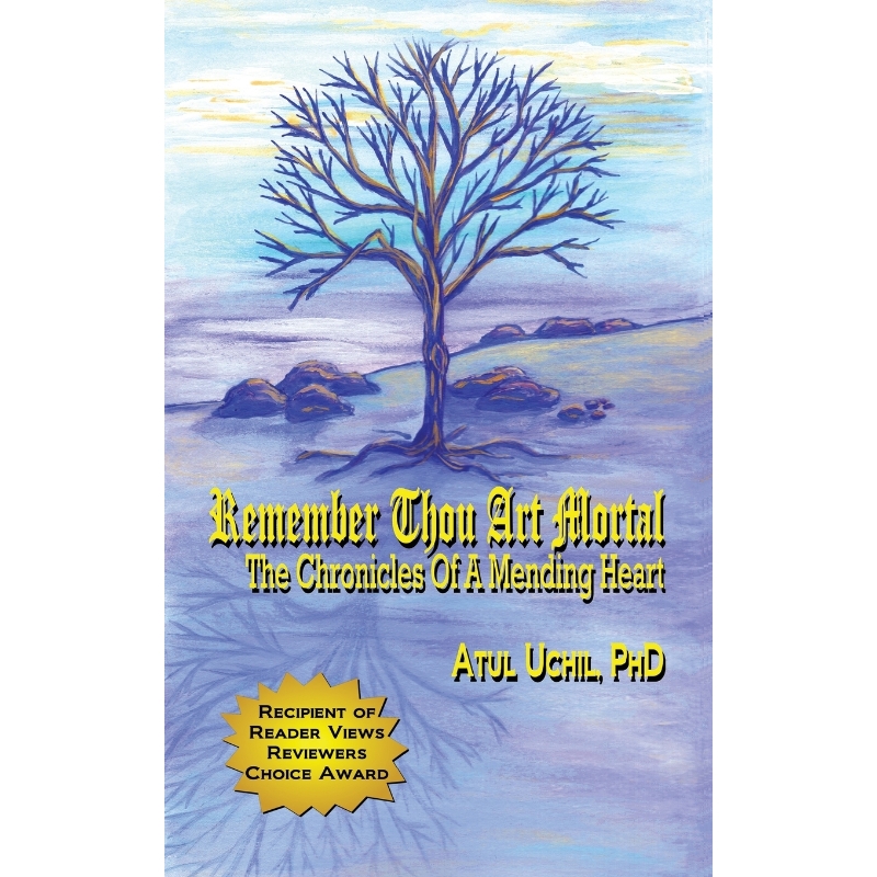 预订，预计下单后2-3周左右发货！