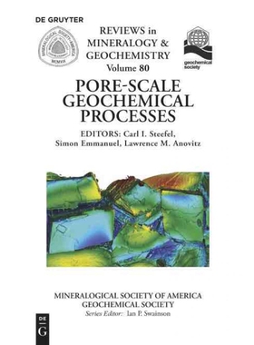 按需印刷不退不换DGYT Pore Scale Geochemical Processes[9780939950966]