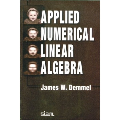 预订Applied Numerical Linear Algebra[9780898713893]