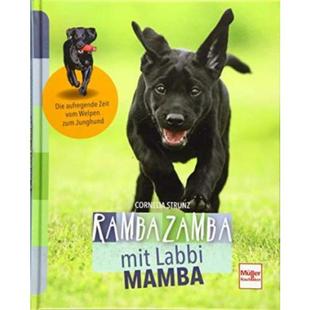 aufregende 德语 Mamba 预订 Zeit zum mit Welpen Rambazamba Junghund Labbi vom Die