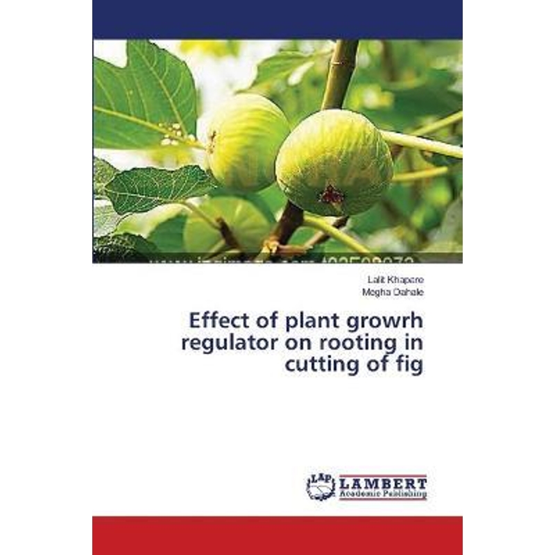 预订，预计下单后2-3周左右发货！