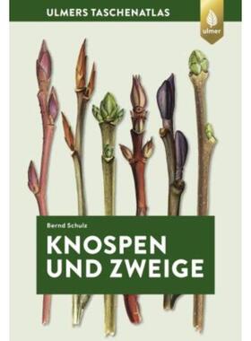 预订【德语】 Knospen und Zweige:270 Gehölze im Winter bestimmen