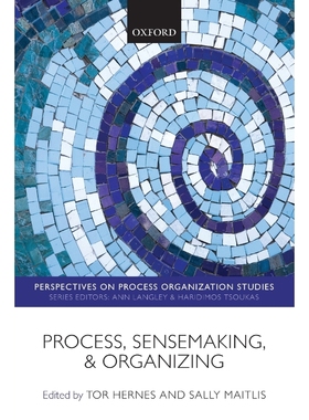 按需印刷Process, Sensemaking, and Organizing[9780199655564]