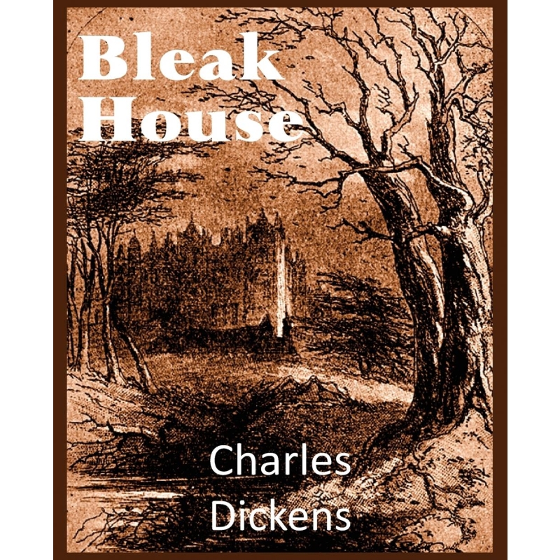 预订，预计下单后2-3周左右发货！