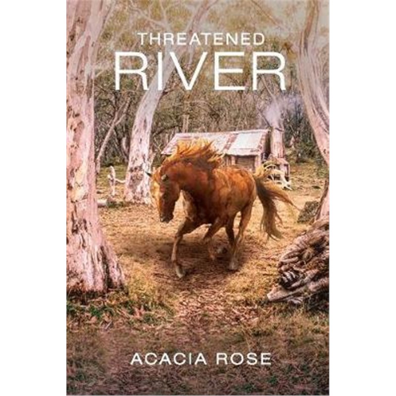 预订，预计下单后3-4周左右发货！