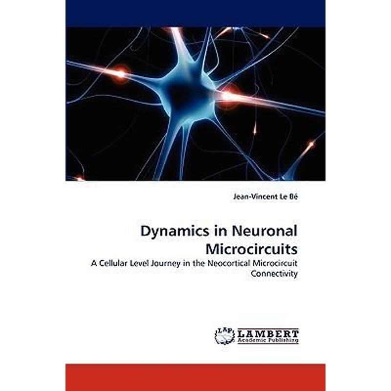 按需印刷Dynamics in Neuronal Microcircuits[9783838376325]