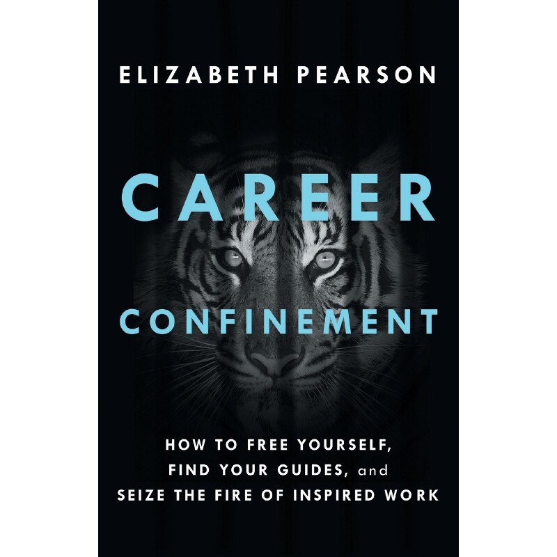 按需印刷不退不换Career Confinement[9781544534046]