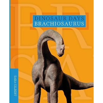 预订不退不换Brachiosaurus