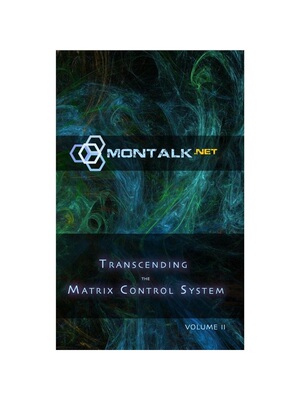 按需印刷不退不换Transcending the Matrix Control System, Vol. 2[9781387601653]