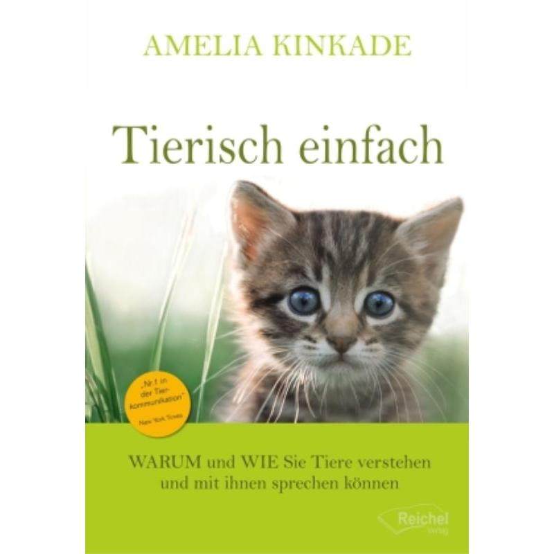 预订，预计下单后3-6周左右发货！