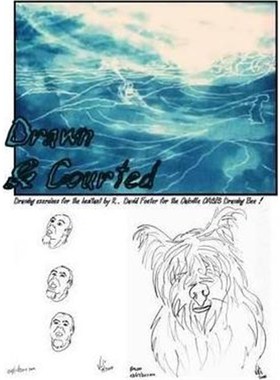 按需印刷  Drawn & Courted