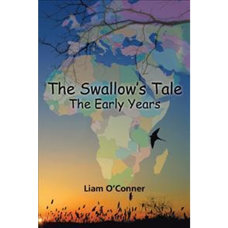 预订，预计下单后2-3周左右发货！