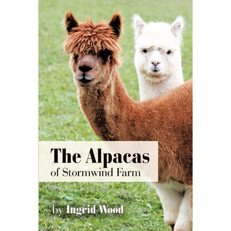 按需印刷不退不换The Alpacas of Stormwind Farm[9781463423926]