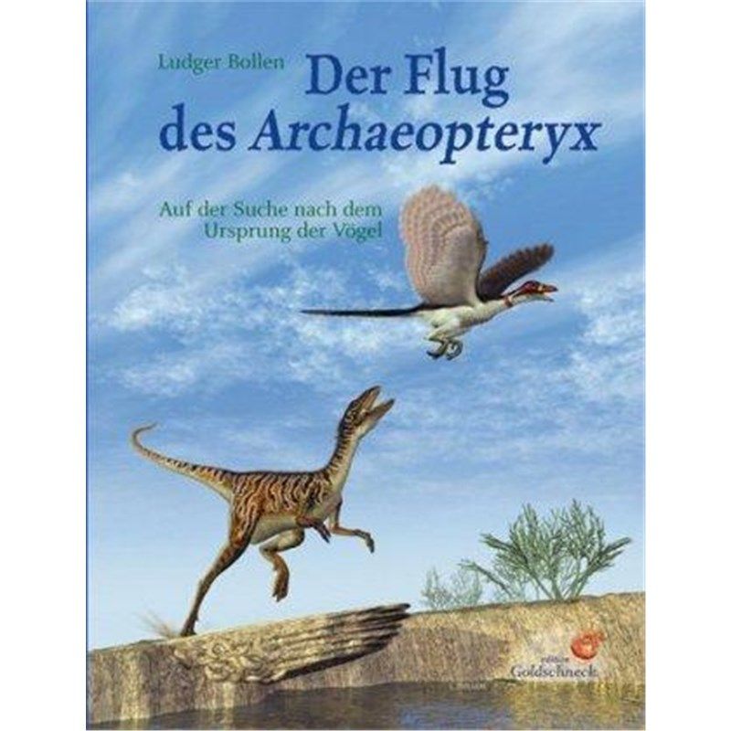 预订，预计下单后3-6周左右发货！